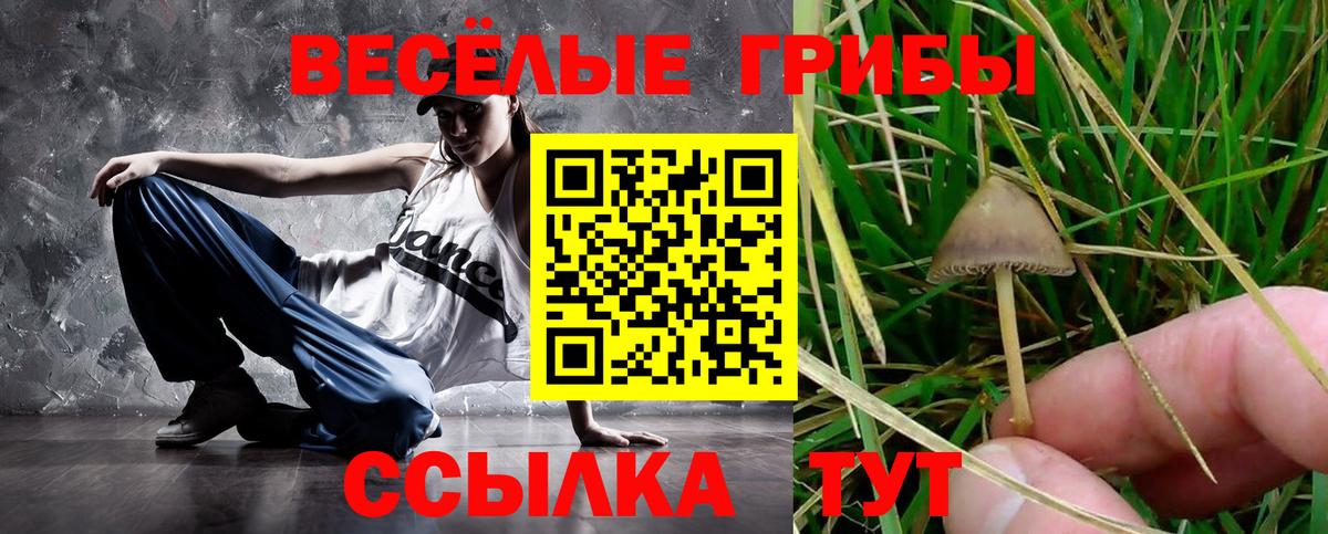 Псилоцибиновые грибы GOLDEN TEACHER  Вход с VPN  где купить наркотик  Заринск 